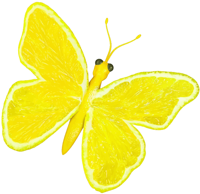 Butterfly lemon