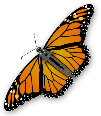 Monarch-Butterfly-art