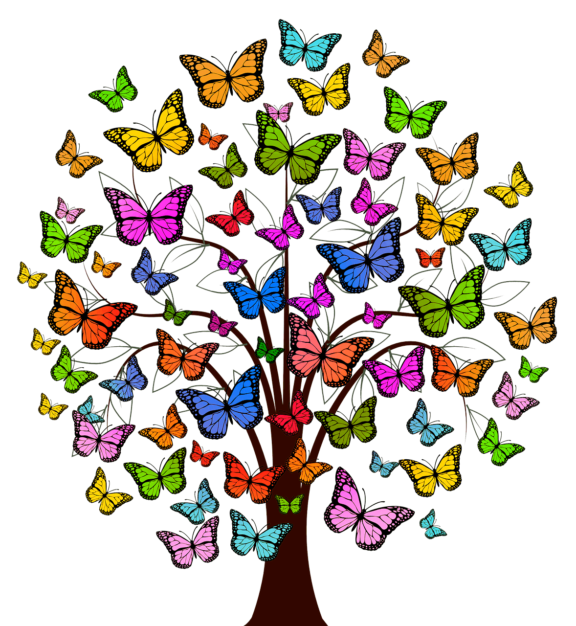butterfly-tree