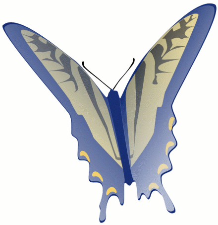 butterfly 6