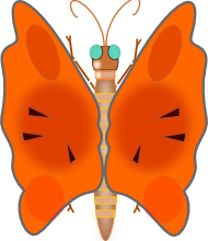 butterfly orange graphic