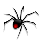 Search Engine Spiders