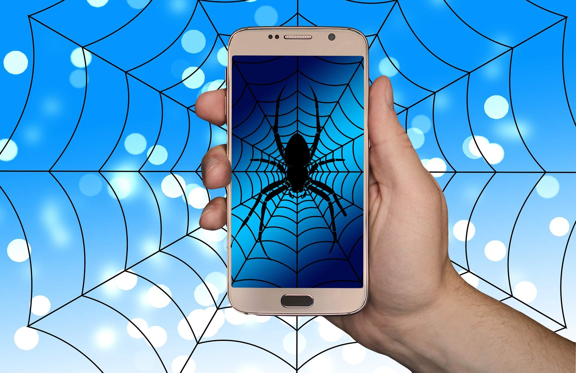 spider-phone-wallpaper