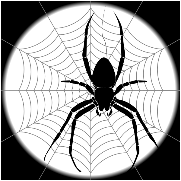 spider-web-logo