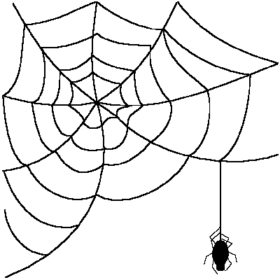 spiderweb 1