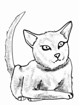 Cat grinning drawing
