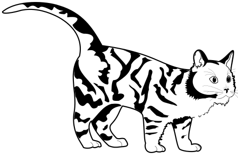 Tiger Cat BW