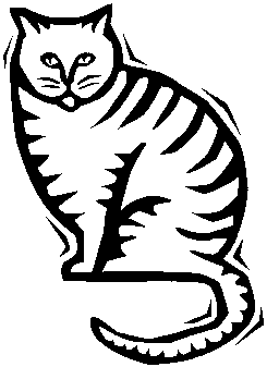 cat 7