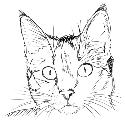cat face drawing