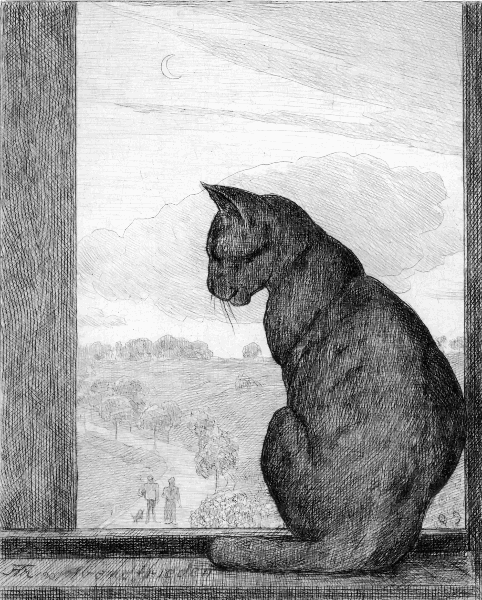 cat on sill sketch