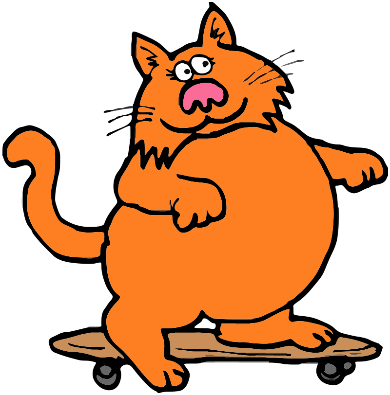 cat skateboard
