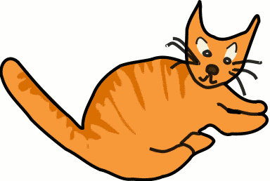 orange brown cat