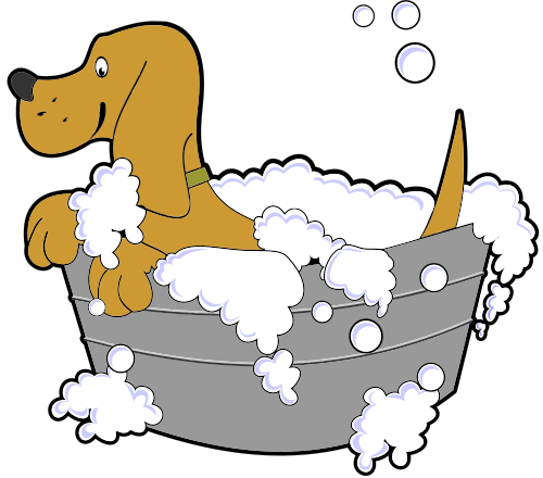 Dog-bath-washtub