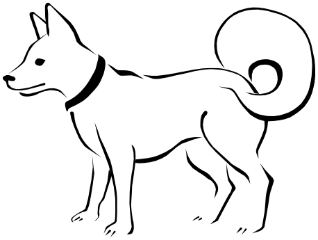 Eskimo Dog sketch