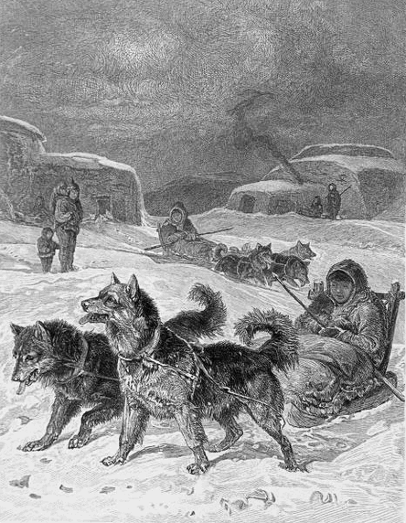 Eskimo dogs