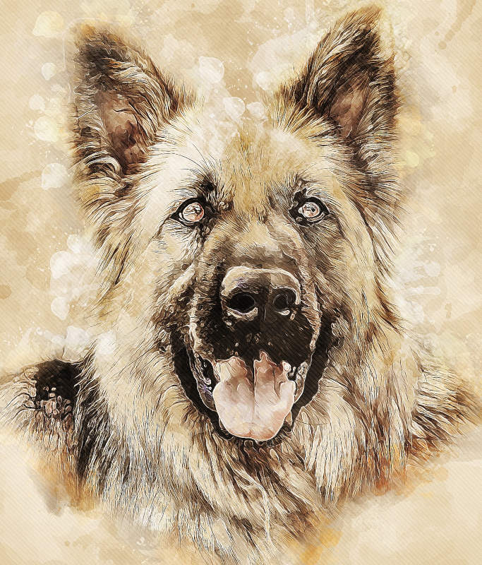 German-Shepherd-watercolor