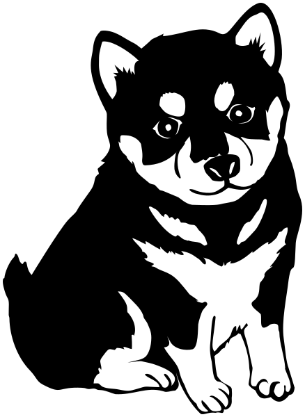 Shiba-Inu-Dog