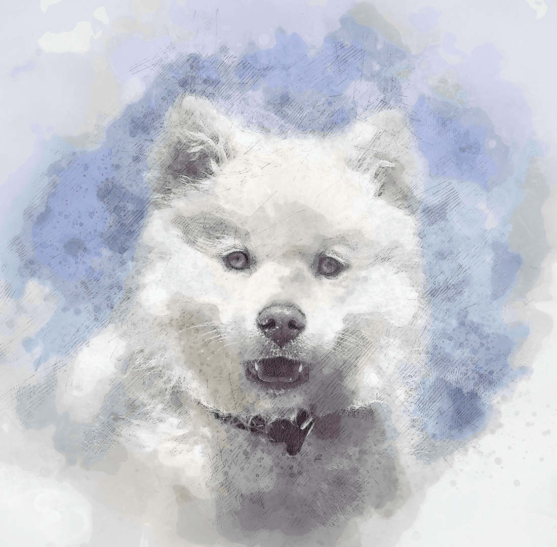 dog-portrait-watercolor-5