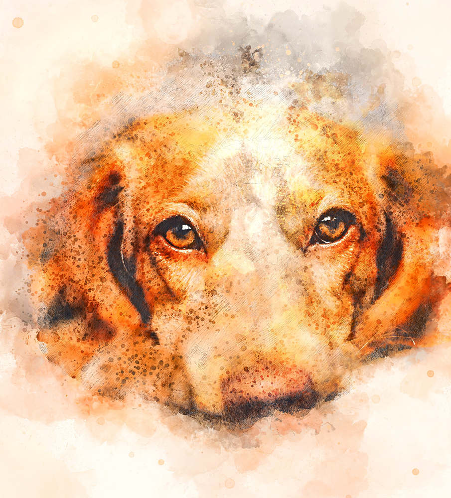 dog-watercolor-6