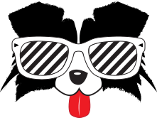 dog-wearing-shades-cartoon