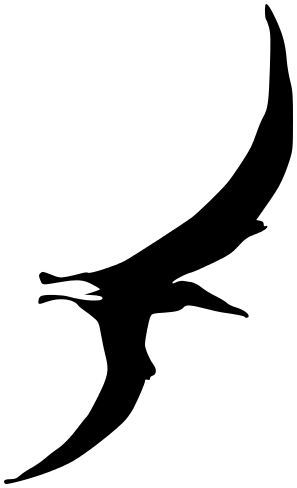 pterodactyl silhouette
