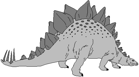 Stegosaurus 1