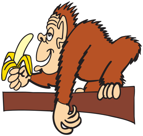ape banana branch