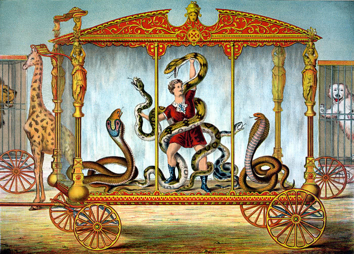 circus snake wagon