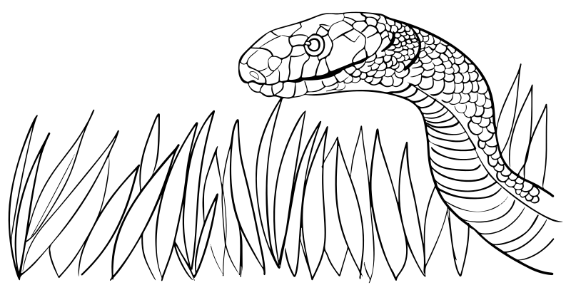 snake in grass lineart