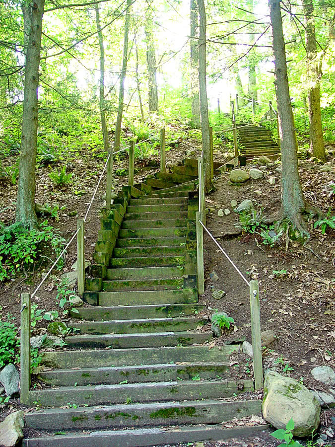 stairs on hiking trail woods