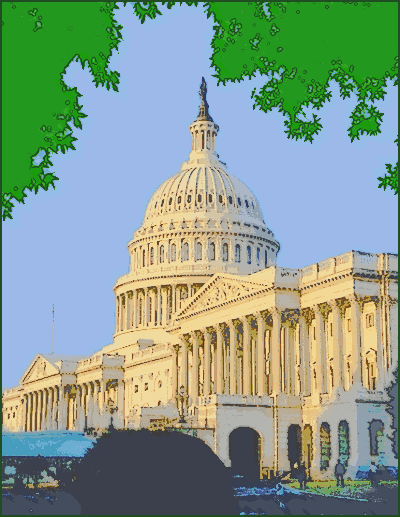 US Capitol 1