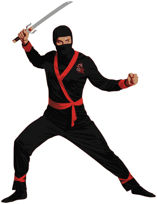 ninja 6