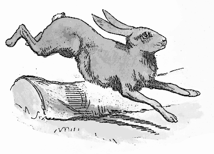 Собрались старые зайцы сбежались маленькие. Заяц бежит. Заяц убегает иллюстрация. Бегущий заяц рисунок. Заяц прыгает.