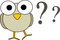owl question