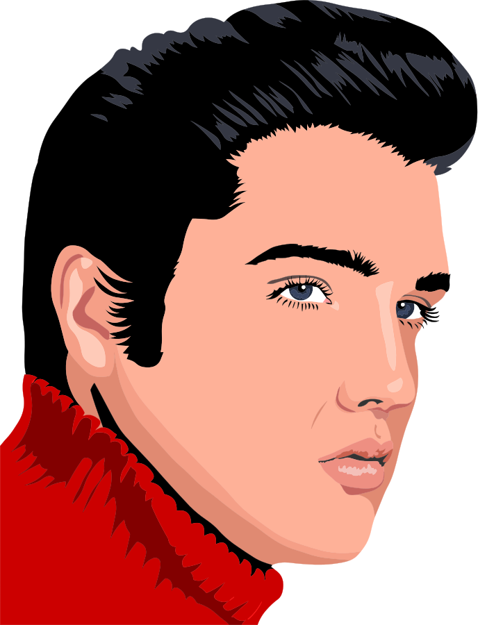 Elvis profile