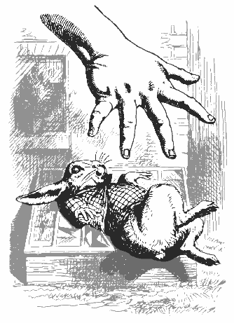 Alices hand grabbing at Rabbit
