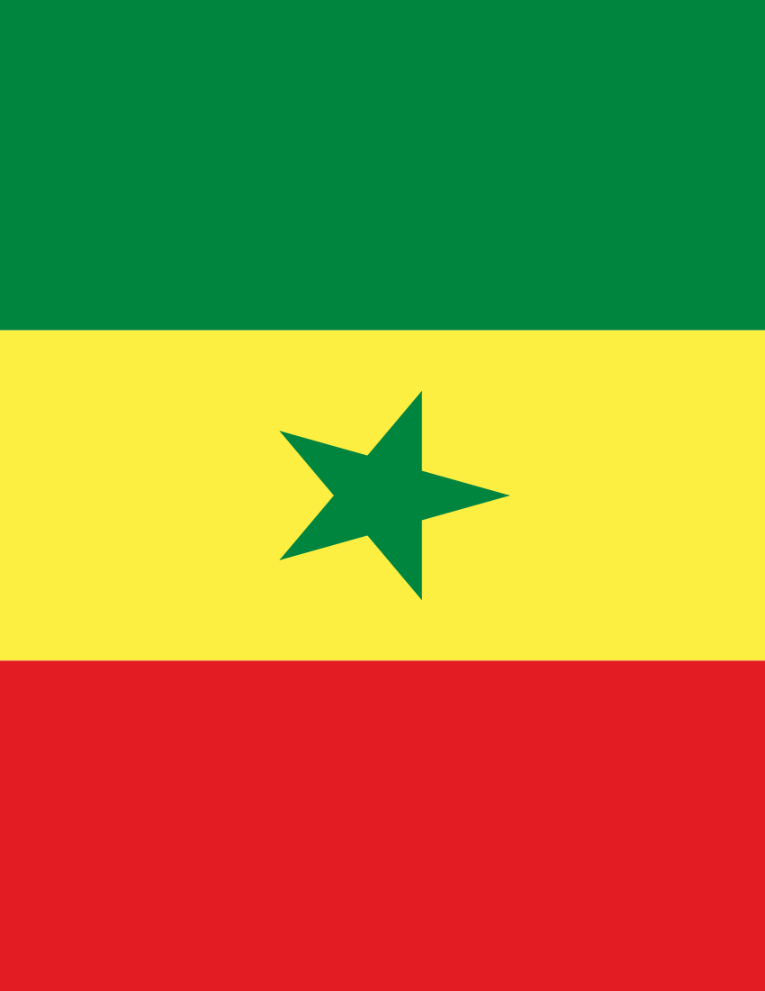 senegal flag full page