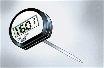 thermometer digital