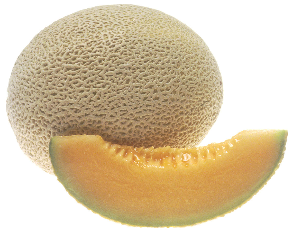 Cantaloupe large
