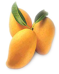 Philippine mangoes