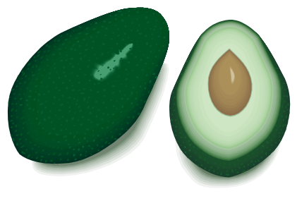 avocado clipart