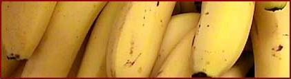banana banner