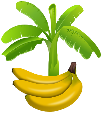 bananas and tree