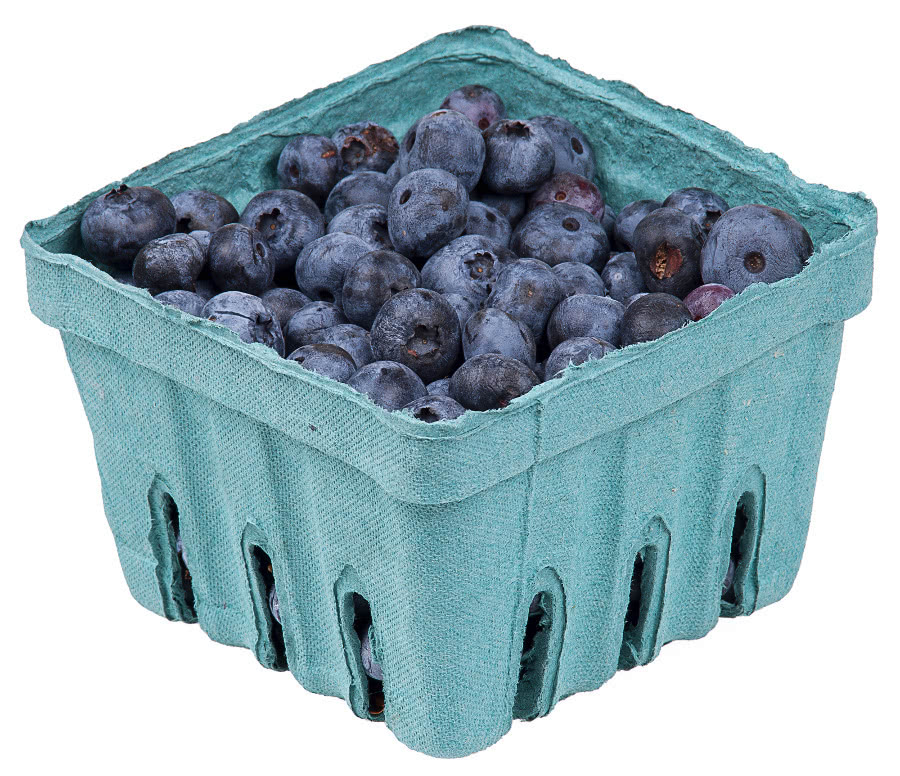 blueberries in pack
