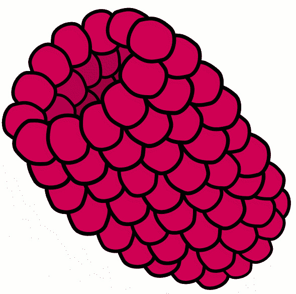 raspberry clip