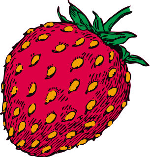 strawberry 4