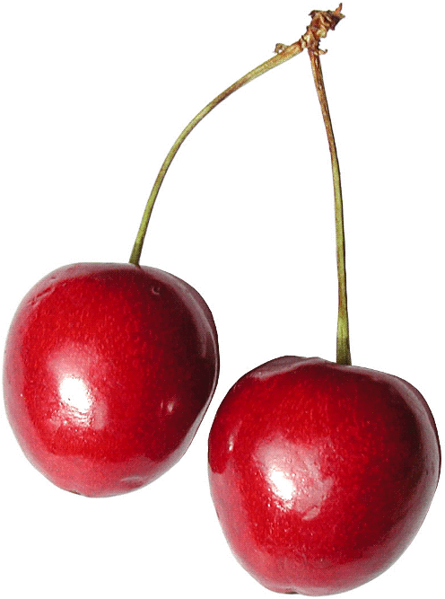 2 cherries sharp photo