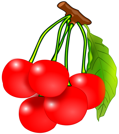 cherries on branch