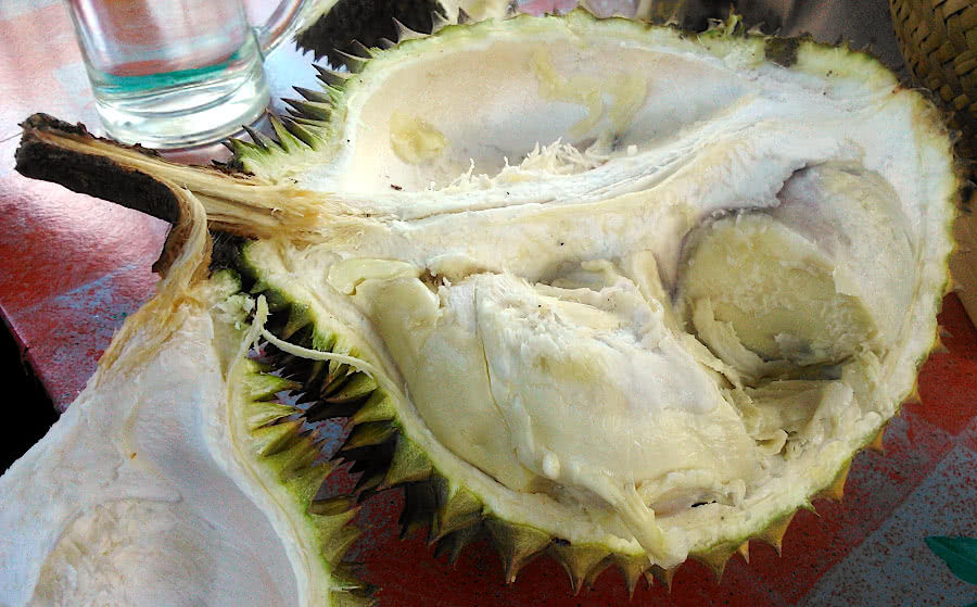 Durian fruit opened