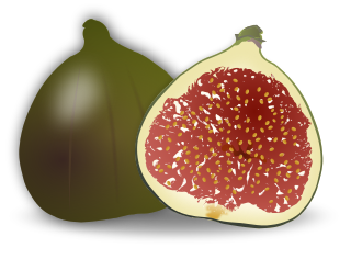 fig fruit sliced